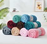 Blanket & Quilt