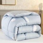 Blanket & Quilt