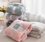 Blanket & Quilt