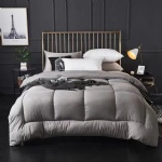 Blanket & Quilt